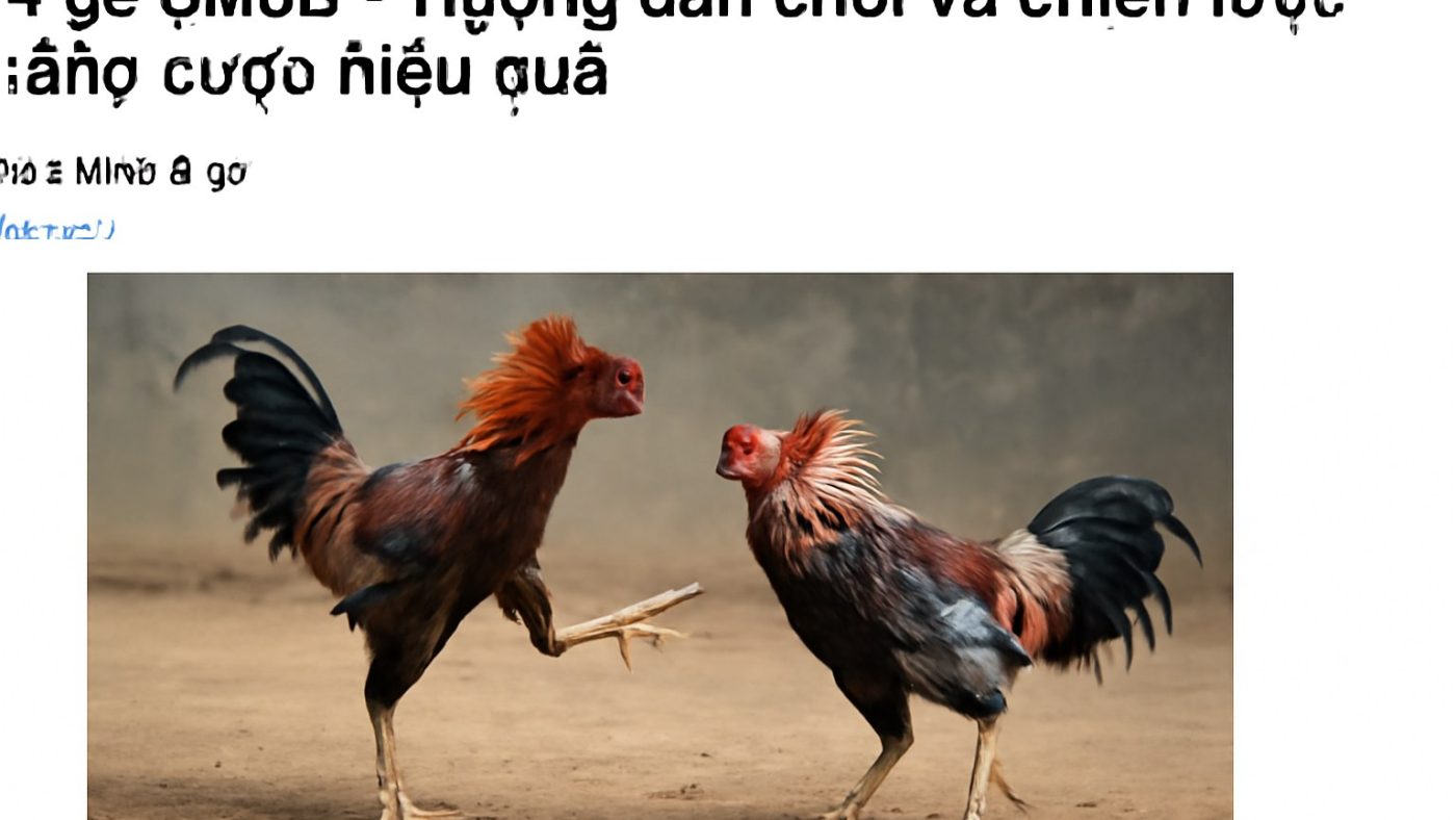 Đá gà SM66 - Hướng dẫn chơi và chiến lược thắng cược hiệu quả