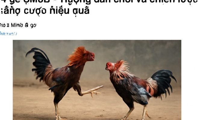 Đá gà SM66 - Hướng dẫn chơi và chiến lược thắng cược hiệu quả